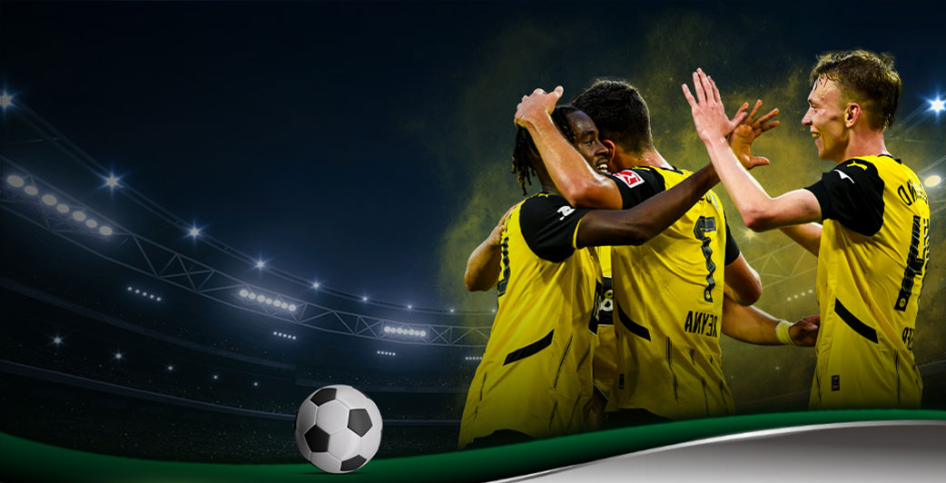 SolaX and Borussia Dortmund